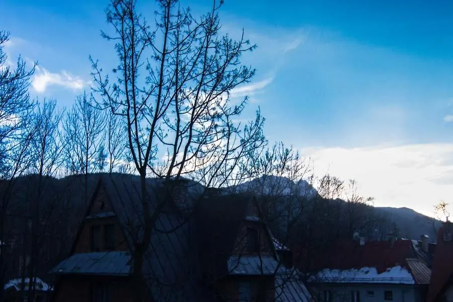 Apartment Apartamenty Dagmara I Irka Zakopane
